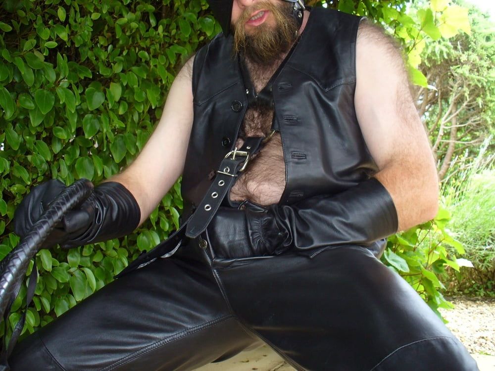 Leather Master outdoors in harness with whip #45