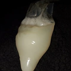  condom