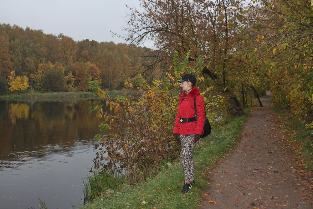 red jacket and yellow leaves #10