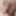 Dick in the PIC