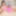 BRAZILIAN TRANSSEXUALS: Best Debut Ever