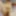 MILF Fotosession 4