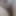 Lena aşırı fotoğraflar çekmeyi seviyor