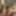 Steamworks Vancouver - Solo - 16 Oct 2024 #18