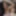 Hairy Stepmom and 19yo Step daughter