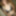 MarieRocks 50+ Intimate Moments 