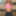 DeluxeDivas.com - Live Chat - Monika #22