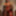 Red Winter Coat