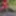 ElisyaHijabdoll Part 11 Masturbtion in the woods #4