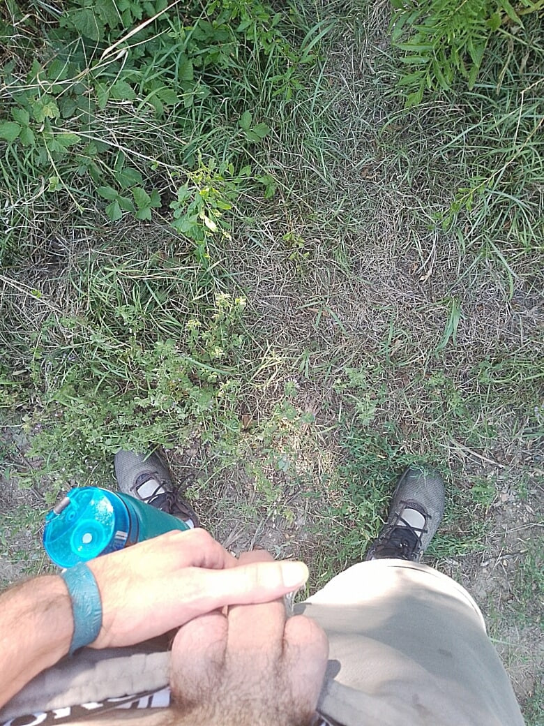 Nature #4