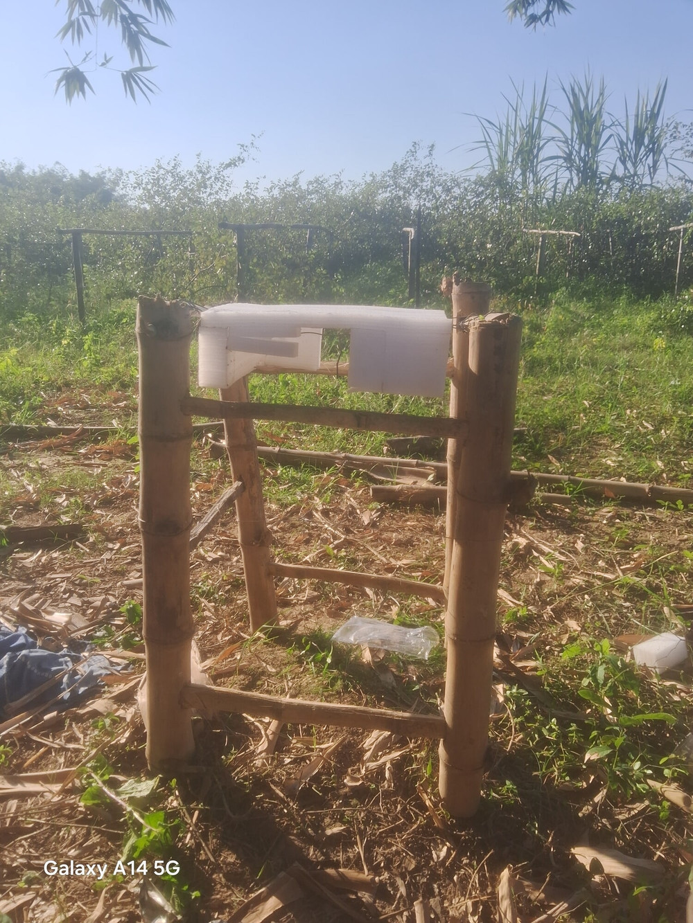 Backyard alone wants #2