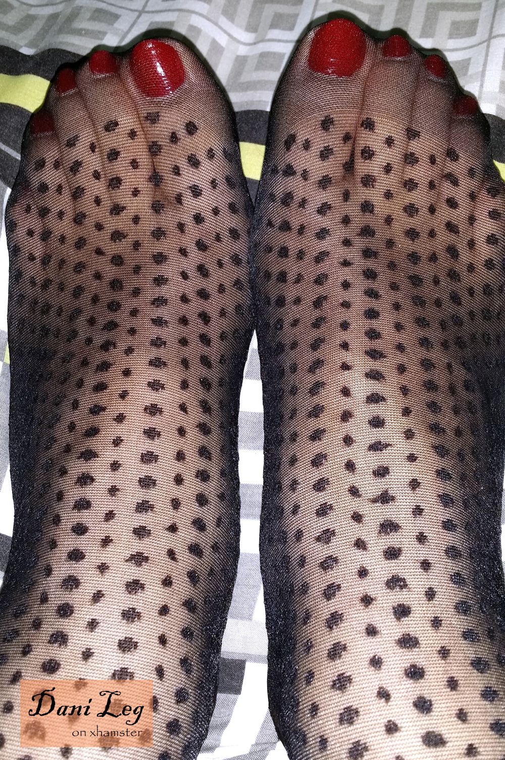 32P Black Dot Patterned Pantyhose and Red Toe Nails #3