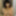 Asian babe sucks until I cum for her #51
