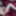 Joanie&#039;s Lingerie #19