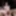 BLACK FRIDAY and best creampie finals by DarkRoomVR.com #14