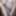 Amateur wife emptying me after sex with sweet little tits 
