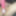 Korean sexy model showing pussy and body  #24