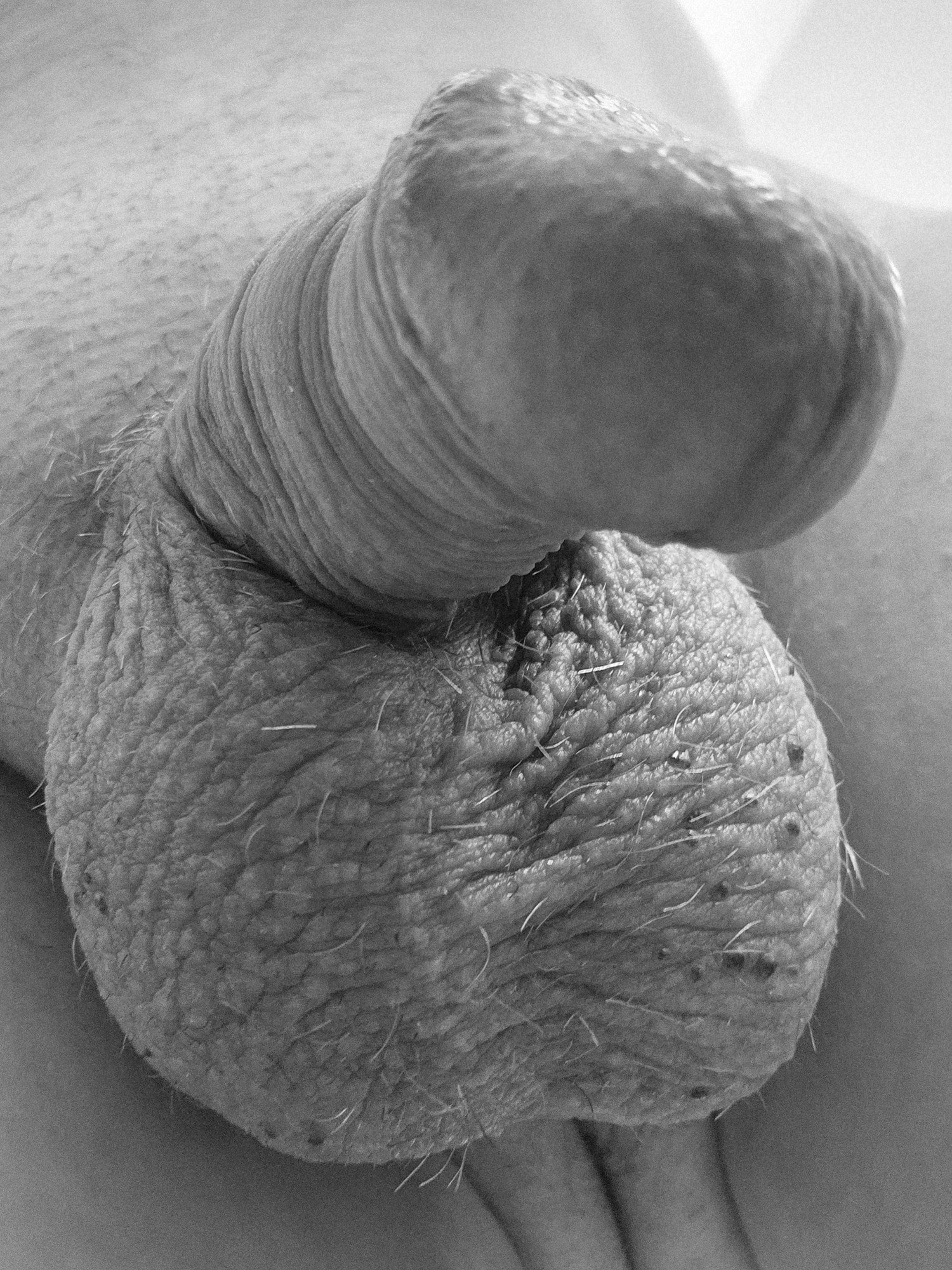 Penis 😍 #31