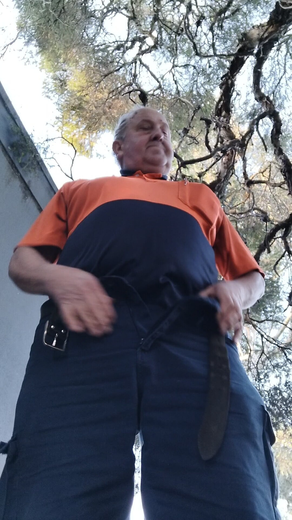 Grandpapiggy 1 #19