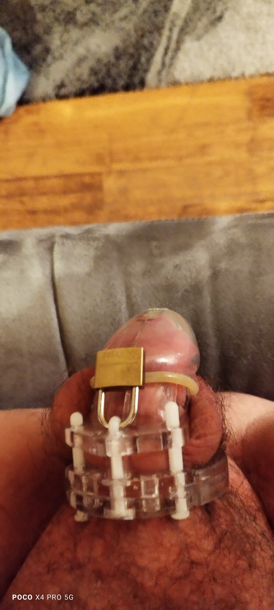 Sissy chastity cock 