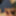 Haired Dick &amp; Balls Cockhead Foreskin  Masturbation  #37