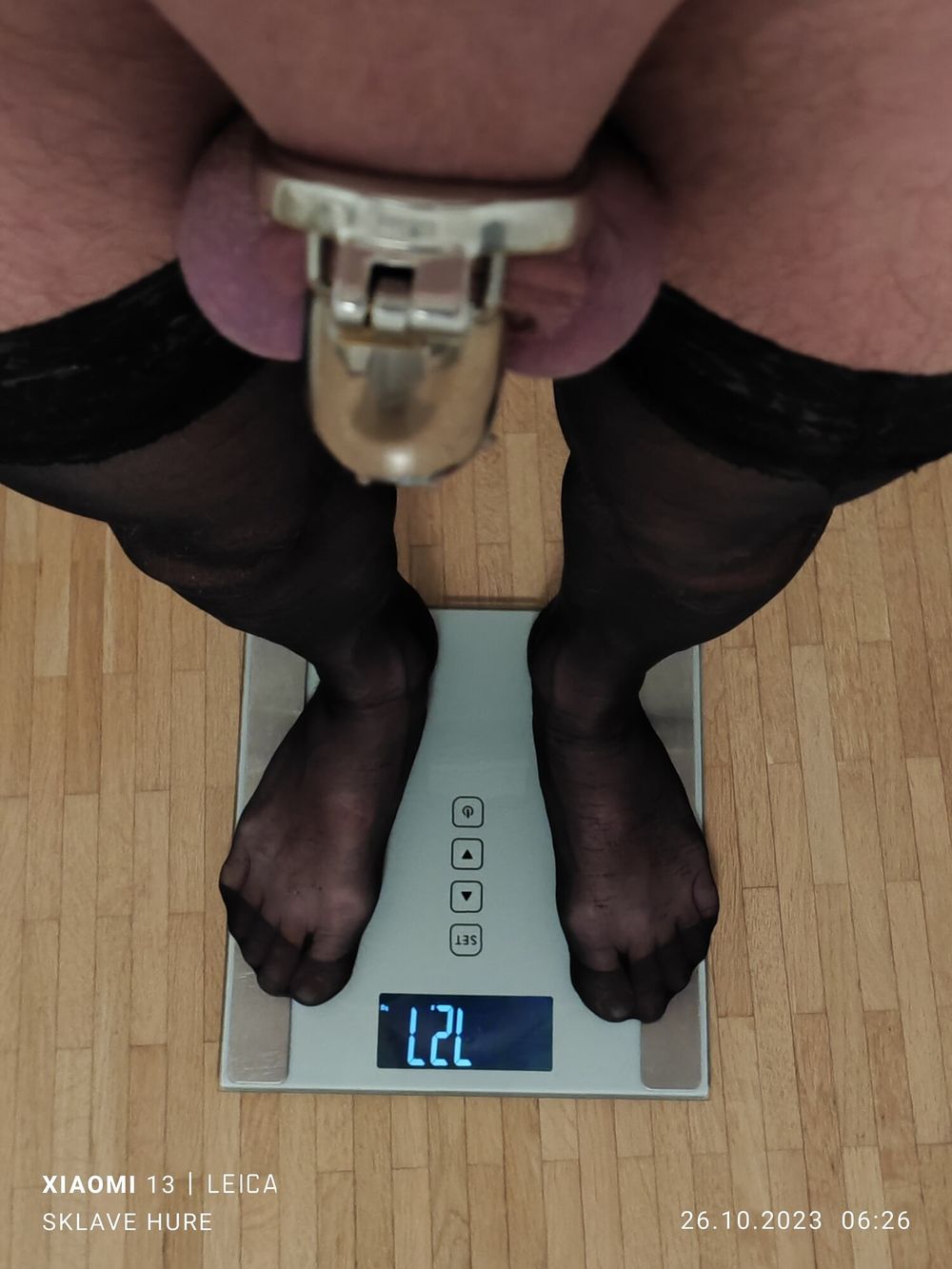 Mandatory weighing cagecheck plugcheck Oktober 26, 2023 #3