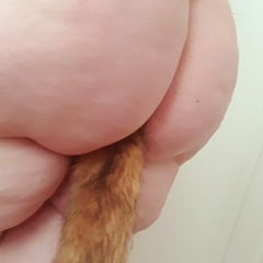Pet play