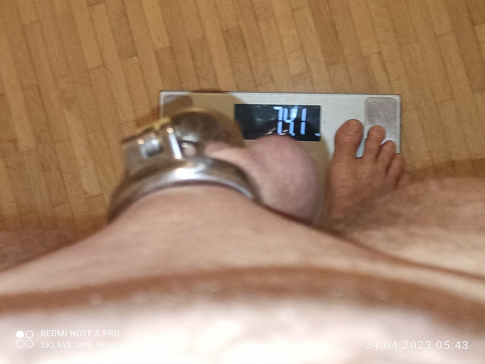 mandatory weighing and cagecheck of April 24, 2023 #14