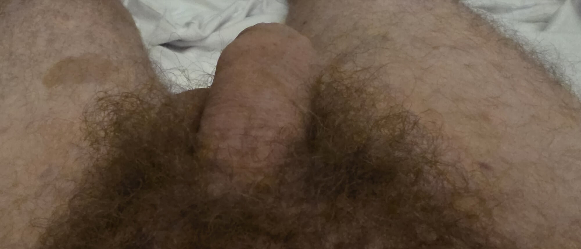 My cock