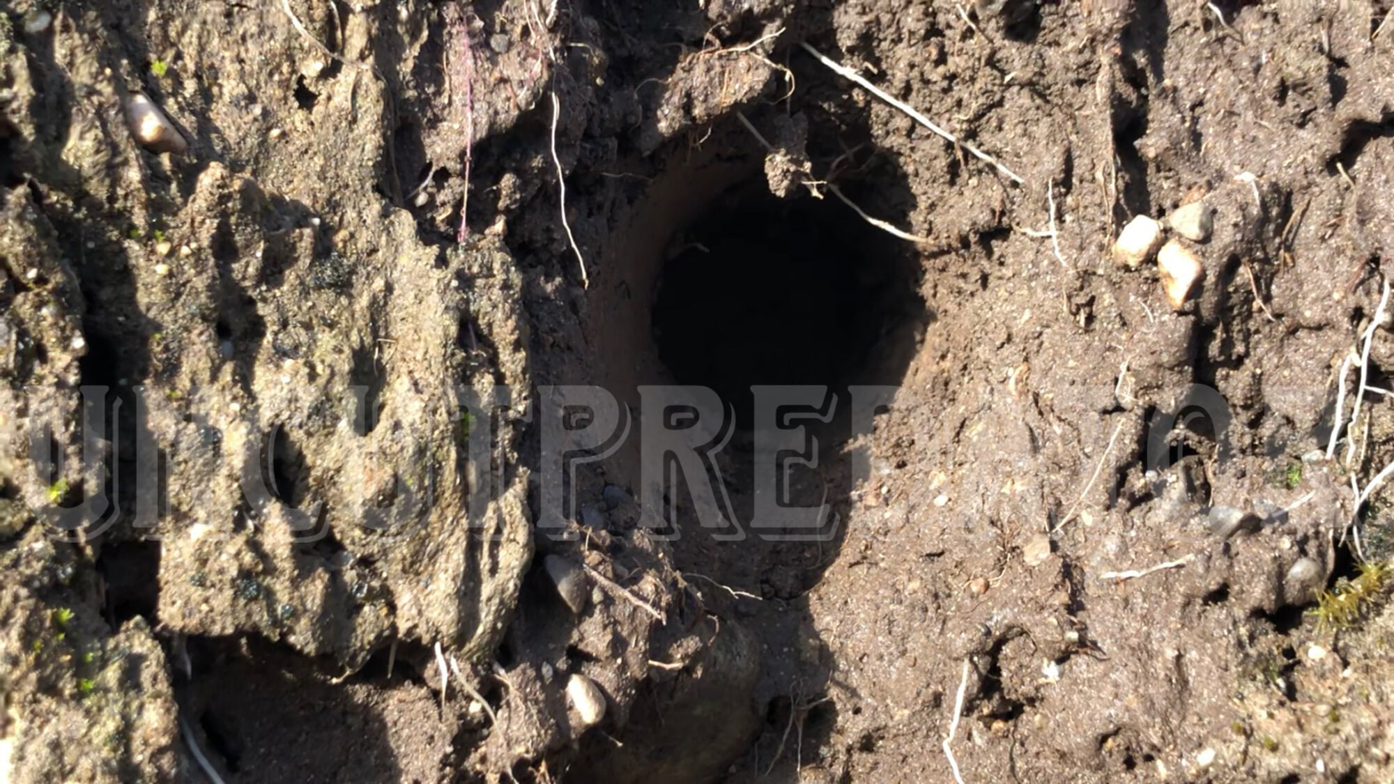 Big hairy cock fucking a dirty hole #8