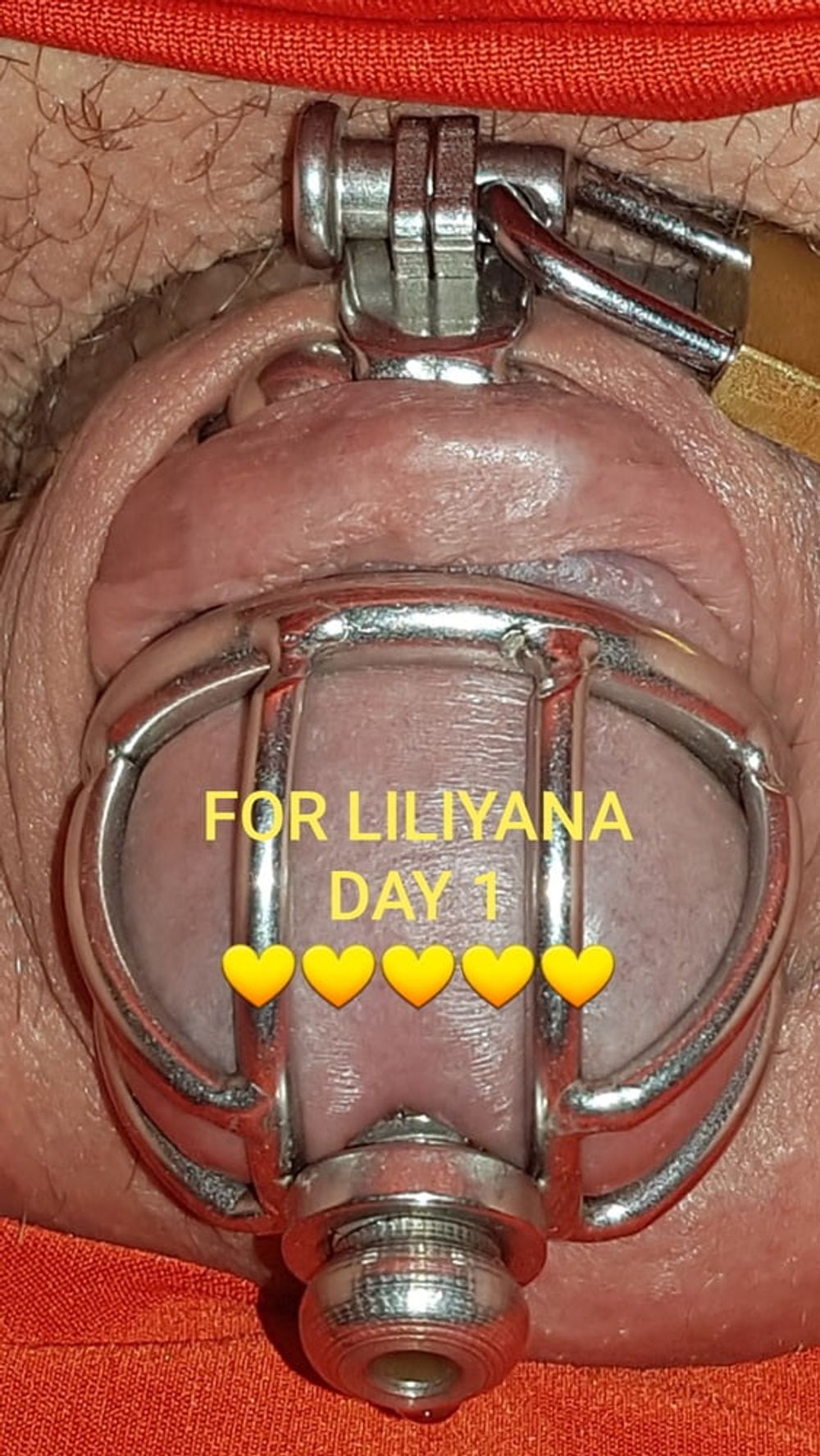 Chastity cage for Liliyana