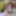 Pictures from the video 09/11/2023 #15