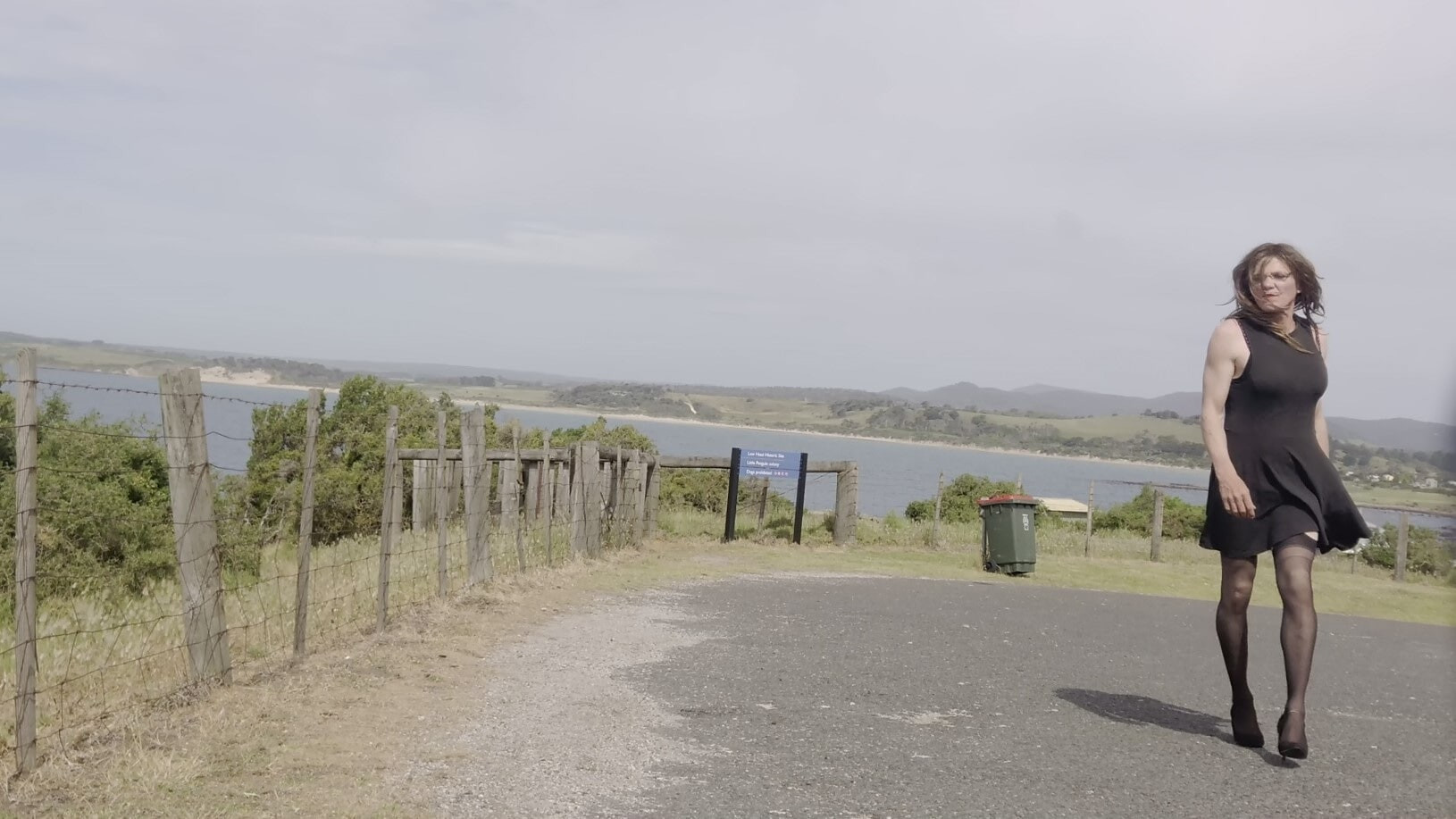 Crossdress Roadtrip - Seaside Lookout #15