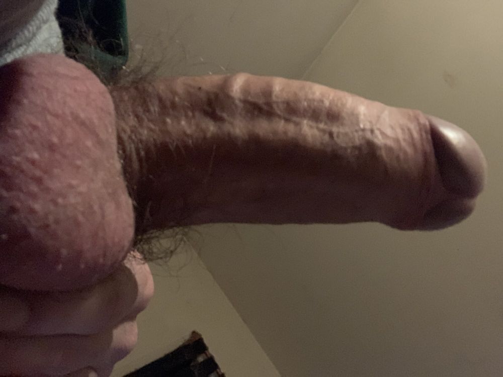 My cock (December 2024) #19