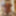 Amateur crossdresser Kellycd2022 sexy milf in white lace #38