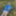 Cover up, reveal #34