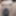 Bangla sex video with brother-in-law and sister