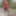 Crossdess Road Trip Red Dress follow the river