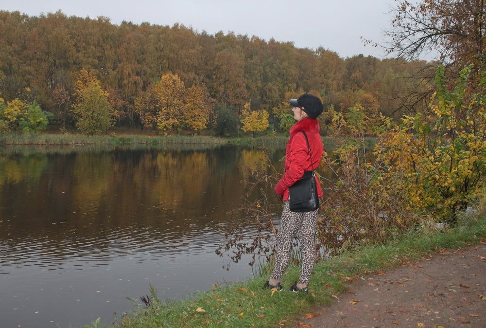 red jacket and yellow leaves #12