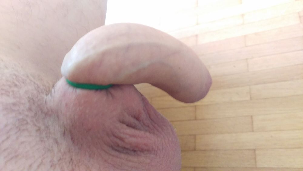 Penis banding session #9