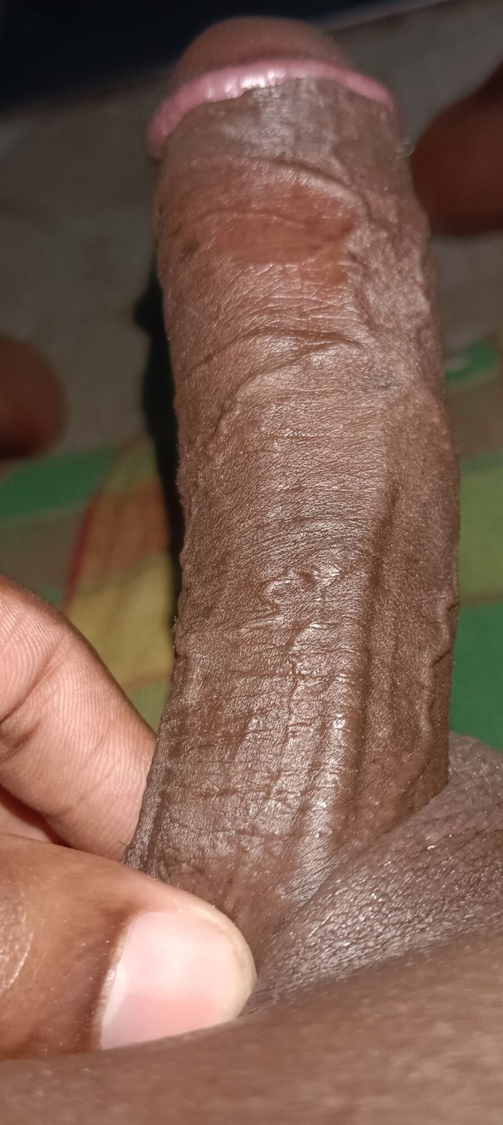 My cock photos #8