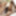Nene Sakura :: Look At Me having SEX!  - CARIBBEANCOM #7