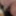 Mandatory weighing cagecheck plugcheck January 05, 2023 #5