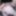 December 2024 Gallery #12