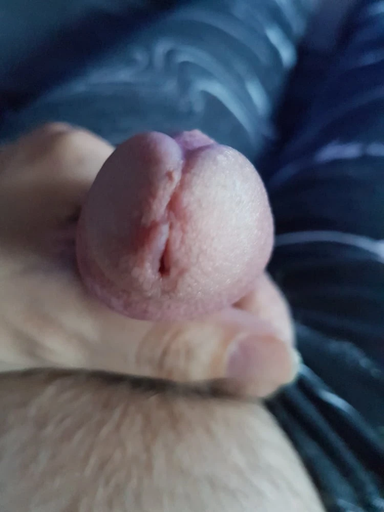 Cock #6