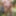 Amateur crossdresser Kellycd2022 sexy Milton pink bodysuit 