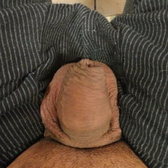cock