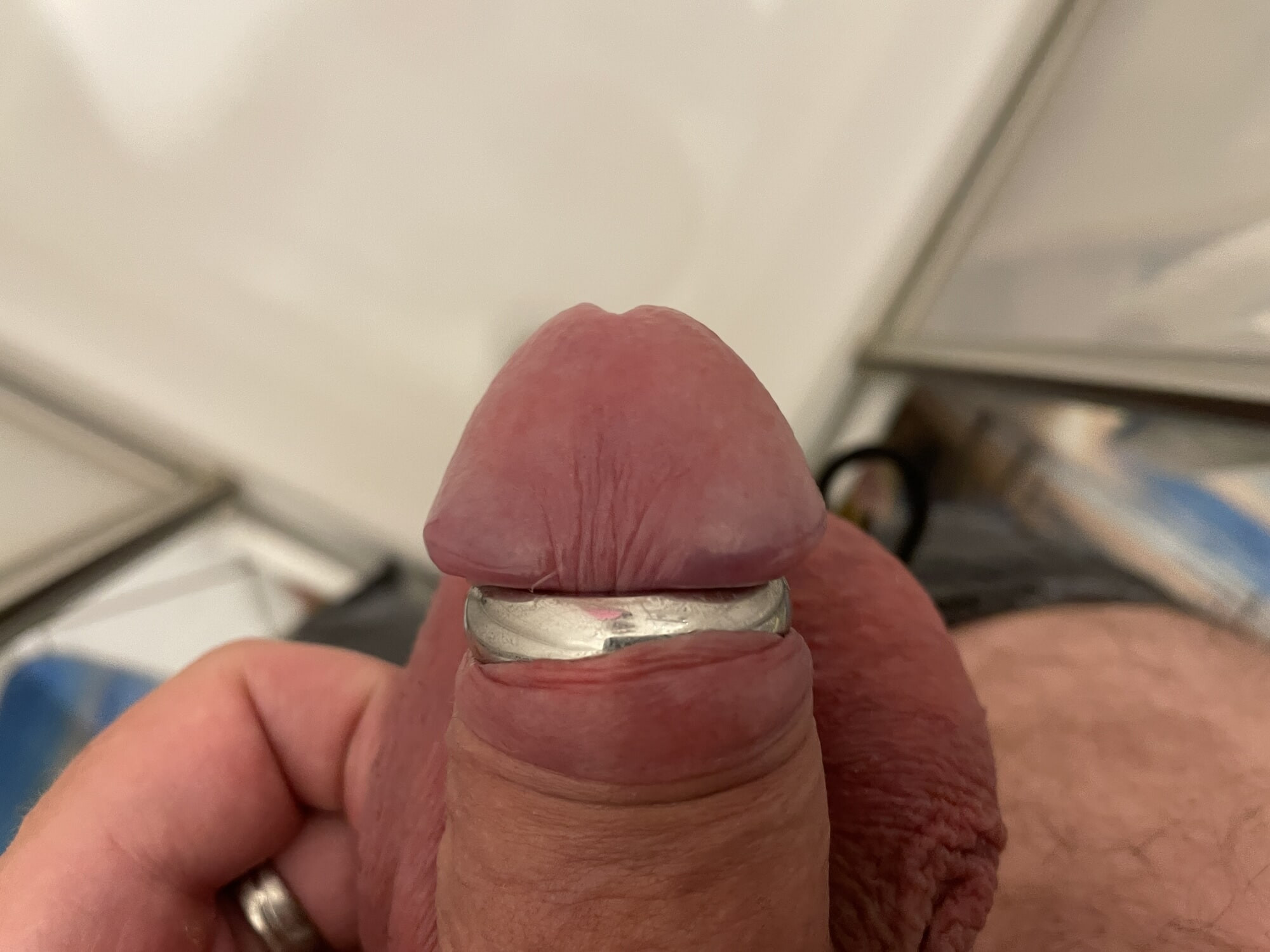 Mein kleiner Schwanz #4
