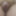 Precum