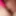 Toy in pussy